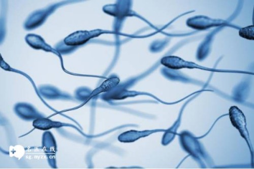 重庆供卵试管：早产儿可以申请大病救助吗？这样能够尽量避免婴儿早产