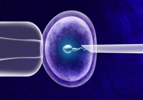 重庆供精试管：谁说怀孕前三个月不能吃面食？并非每个人都会出现不适